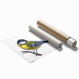 Vibrant wall art print showcasing a collection of colorful garden birds perched on branches, rolled and ready for framing, perfect for nature enthusiasts' home decor.