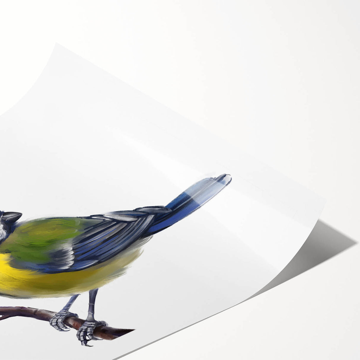 Colorful rolled print showcasing a vibrant garden bird design, featuring various species perched among lush foliage, perfect for nature-themed decor.