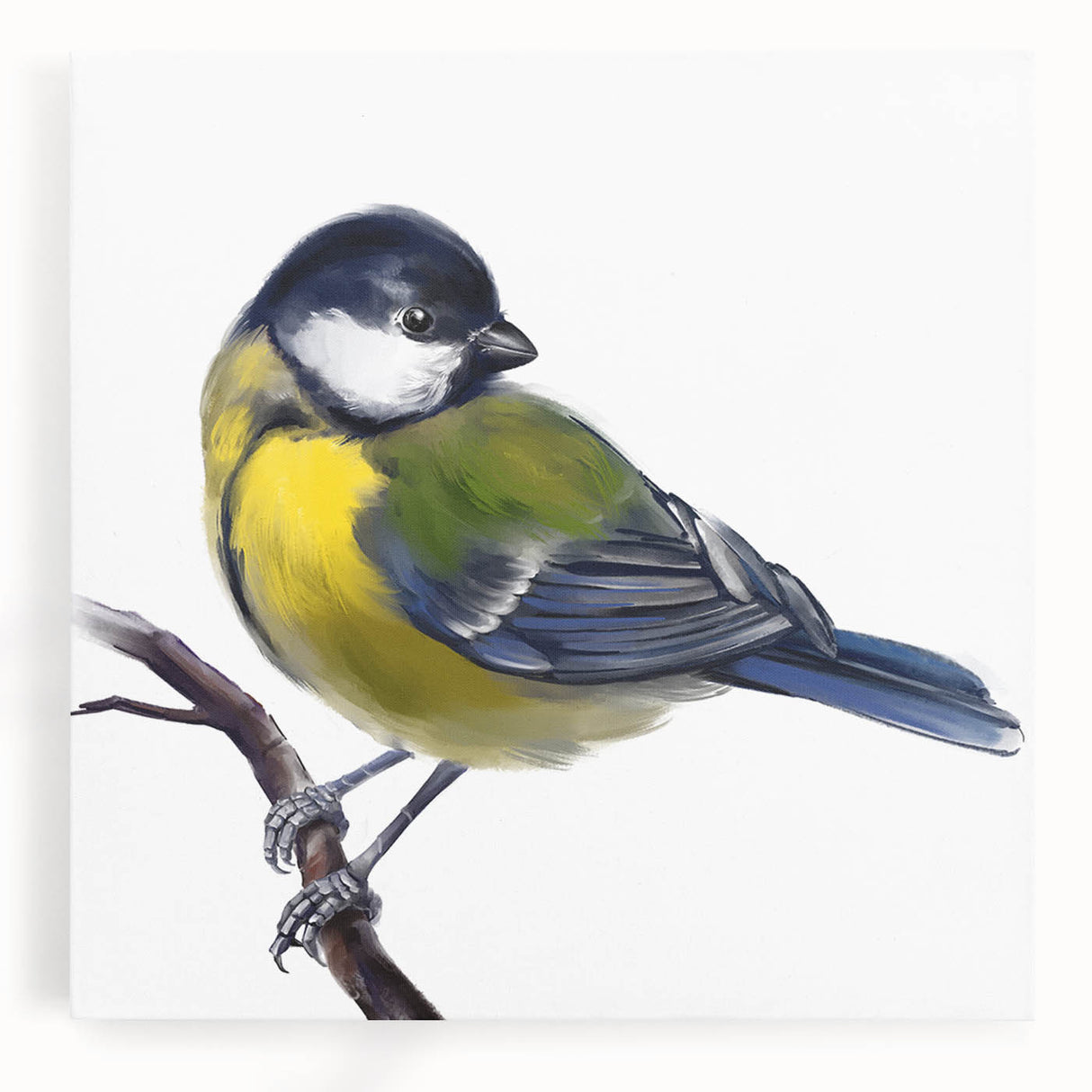 Vibrant stretched canvas wall art featuring a collection of colorful garden birds in a natural setting, perfect for enhancing home decor with a touch of nature.