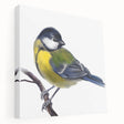 Stretched canvas wall art featuring a vibrant garden birds design in various colors, showcasing detailed bird illustrations against a lush green background, perfect for home decor.