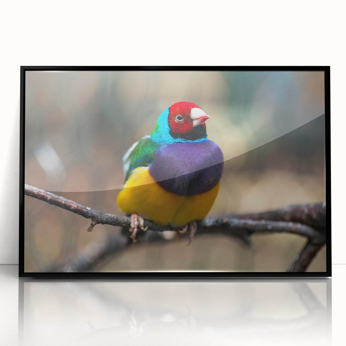 Framed wall art featuring a vibrant garden birds design in a black frame, showcasing colorful bird illustrations against a soft background, perfect for home decor.