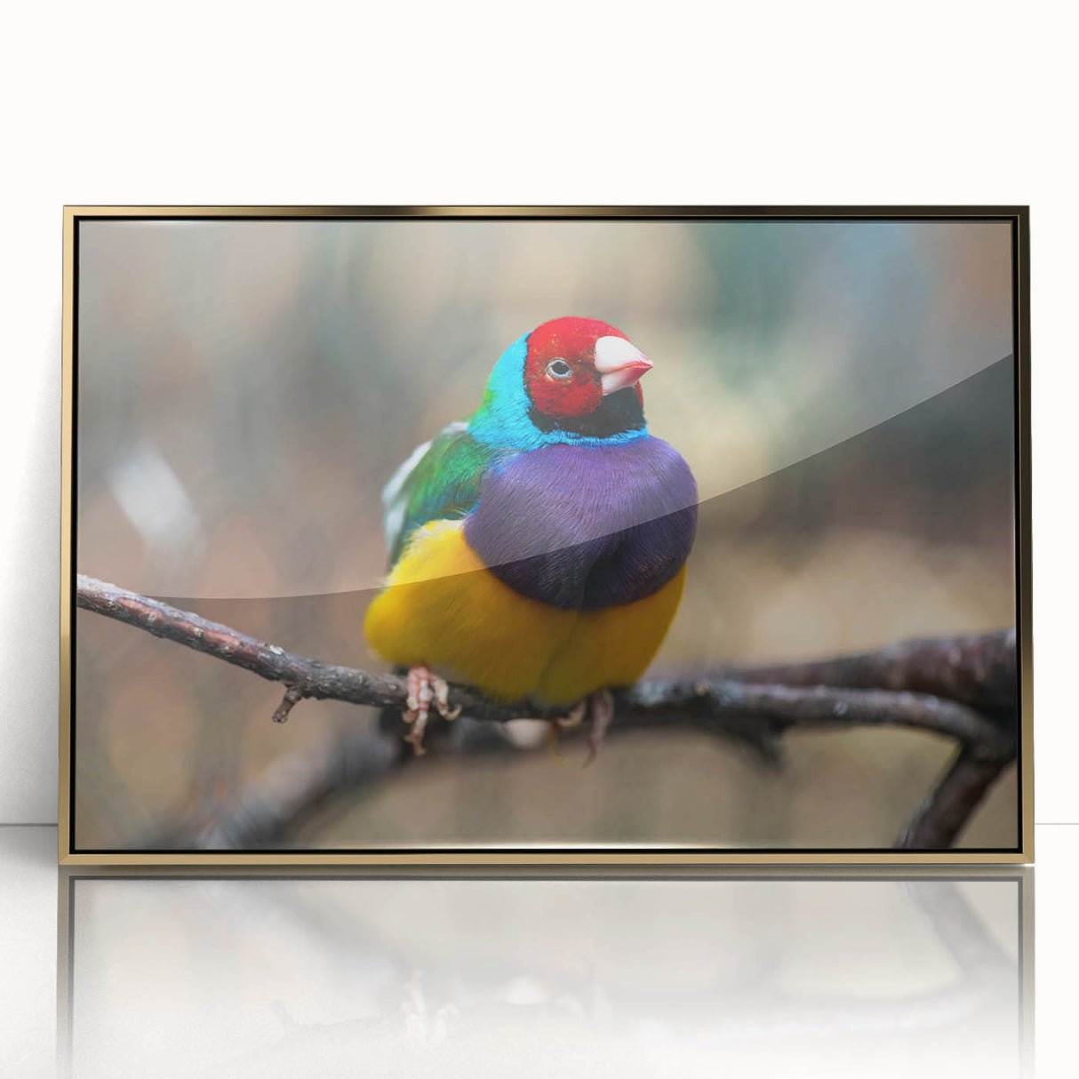 Framed wall art featuring a vibrant design of garden birds with acrylic glass, set in a gold frame, enhancing home decor with a touch of nature.