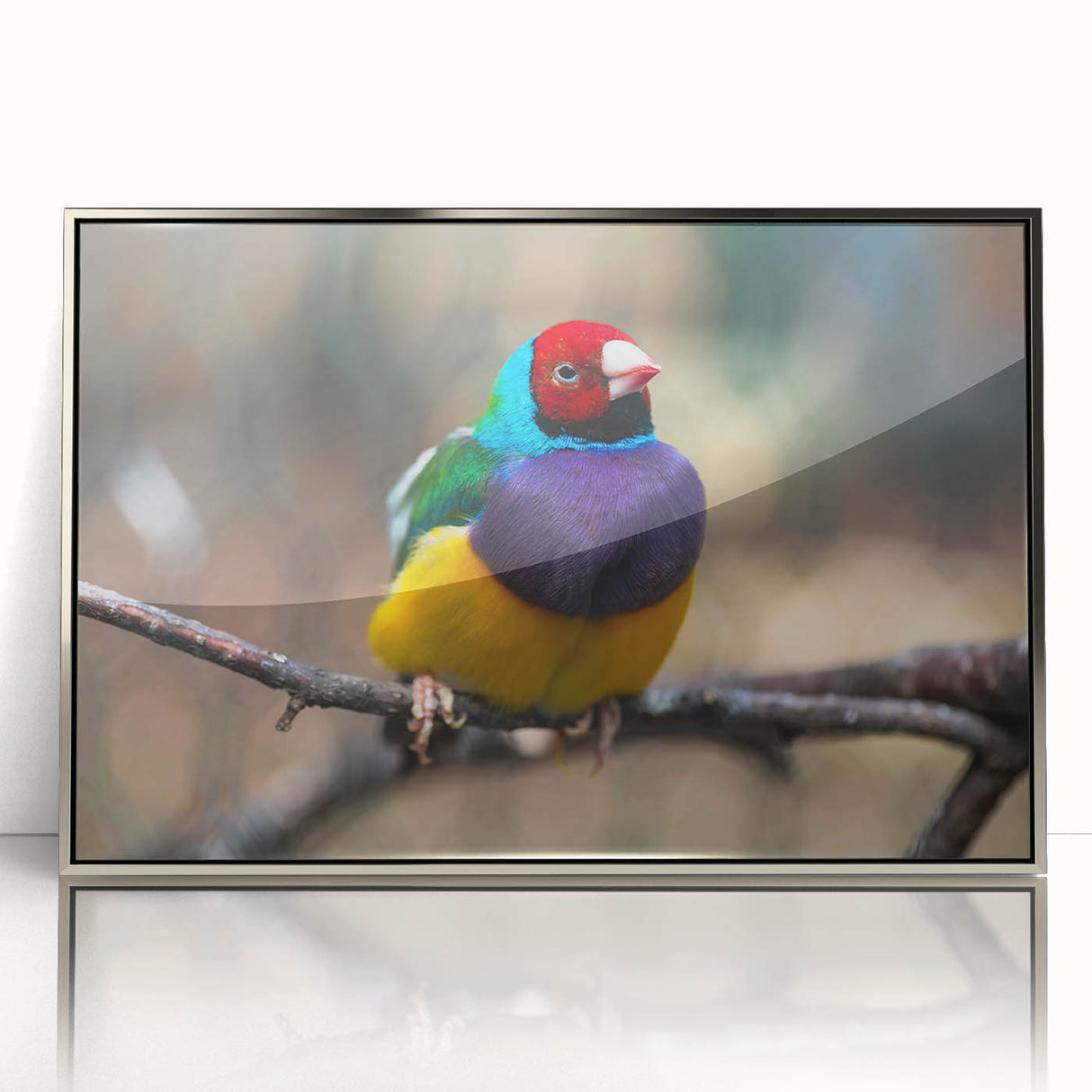 Framed wall art depicting a vibrant collection of garden birds in various colors, showcased in a sleek silver frame, perfect for enhancing home decor.
