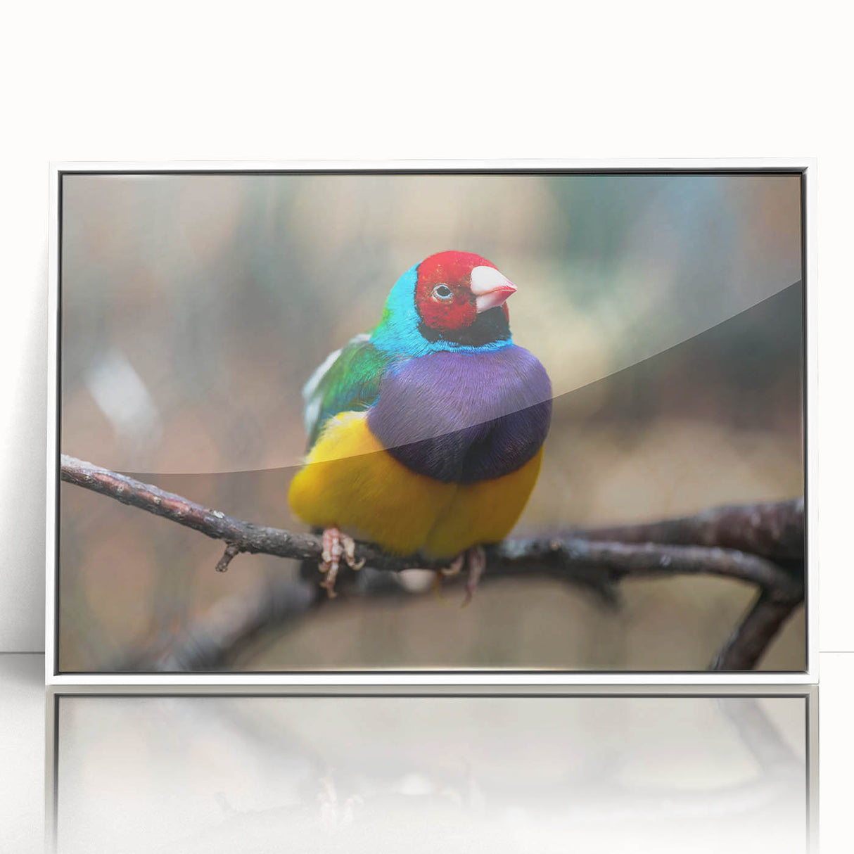 Framed wall art featuring a vibrant garden birds design, showcasing colorful birds perched among lush greenery, set in a sleek white frame with acrylic front.