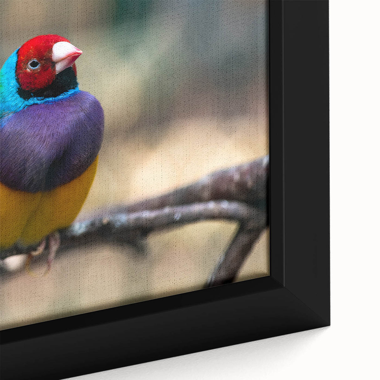 Framed canvas wall art showcasing a vibrant garden scene with colorful birds perched among lush greenery, ideal for enhancing home decor.