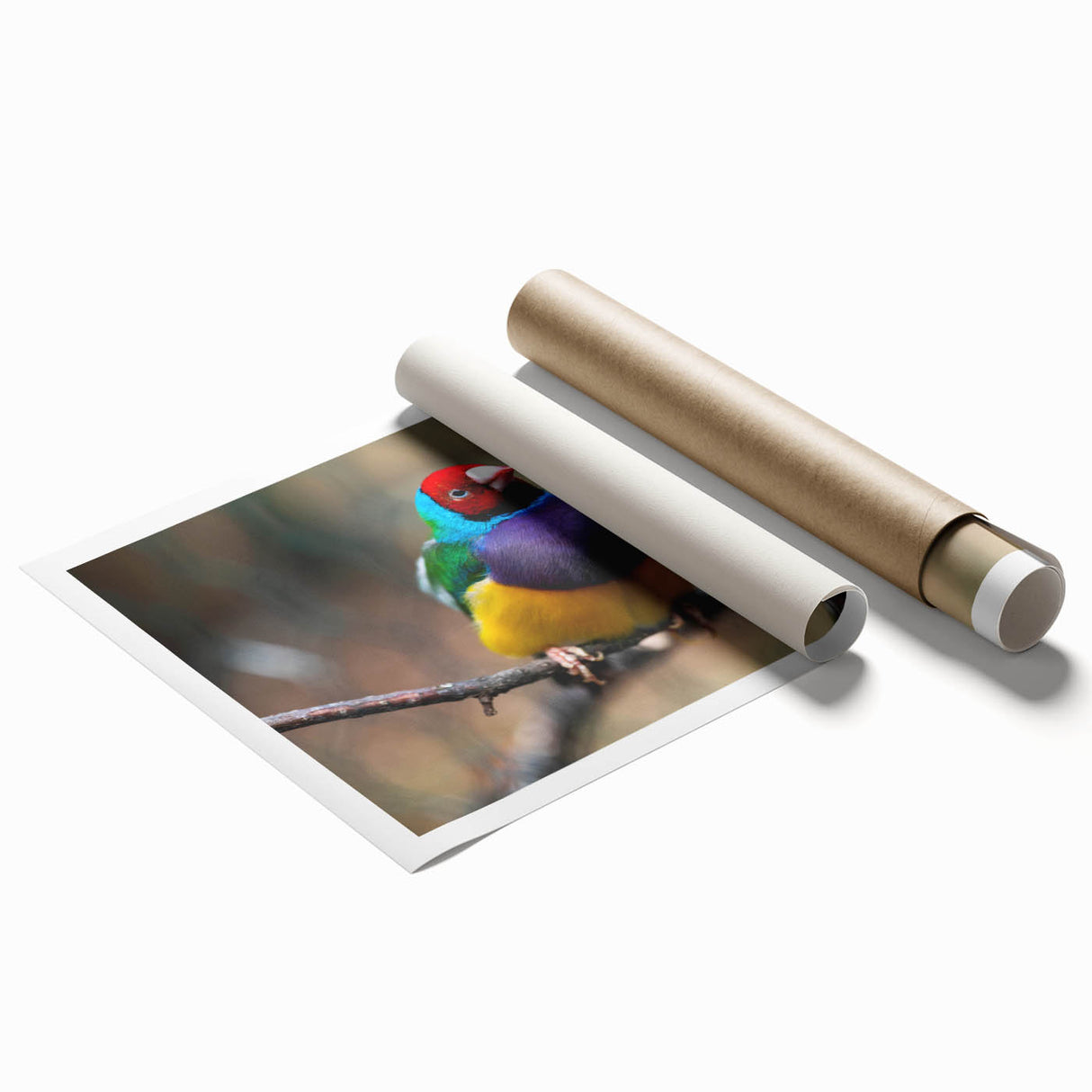 Vibrant rolled print showcasing a collection of garden birds in a colorful design, perfect for home decor or nature-themed art enthusiasts. This wall art adds a whimsical touch to any space.