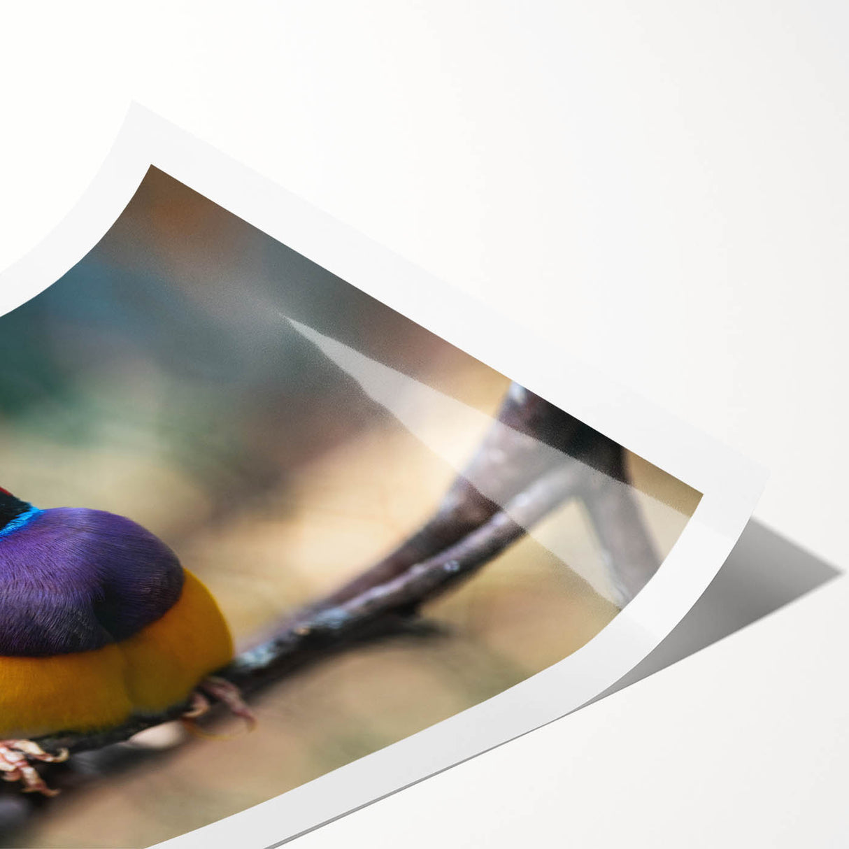 Vibrant wall art print showcasing a colorful design of various garden birds perched among lush foliage, ideal for nature enthusiasts and home décor.