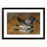 Framed wall art featuring a stylish black design of geese in a modern setting, showcasing intricate details and a matte finish, perfect for home decor.