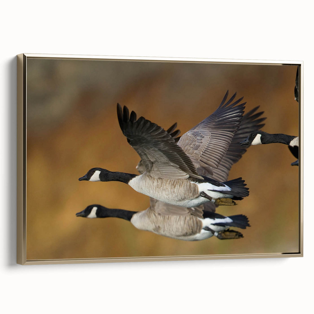 Framed canvas wall art featuring an elegant goose design, showcasing gold accents and intricate details. Perfect for enhancing modern home decor with a touch of nature.