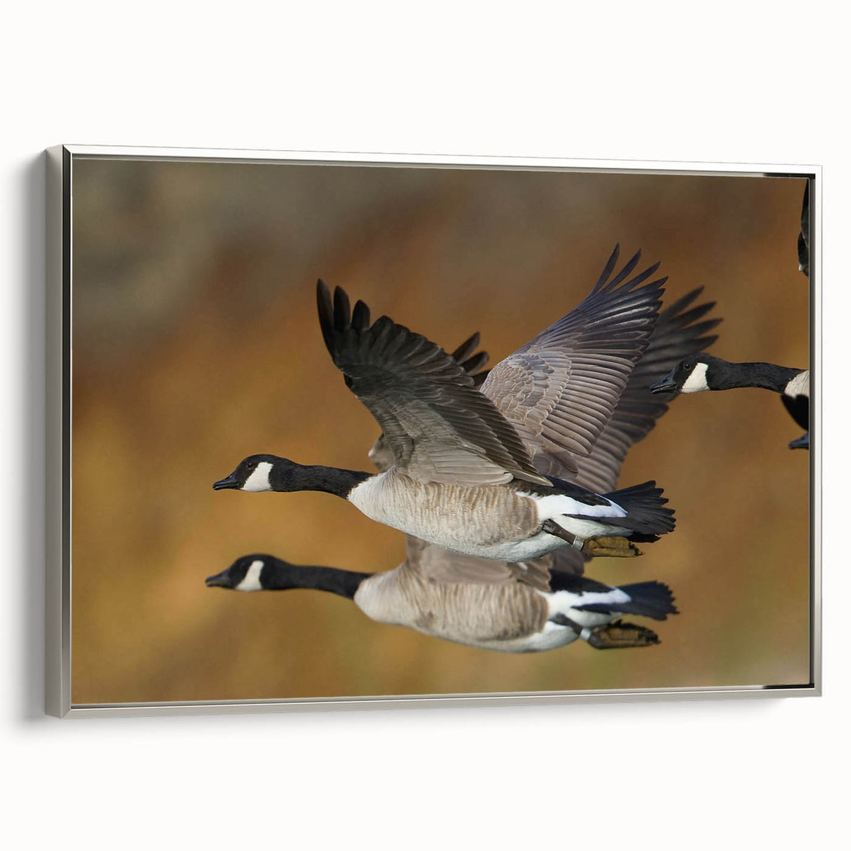 Framed wall art featuring a silver side view of a graceful goose design on textured canvas, perfect for adding elegance to modern home decor.