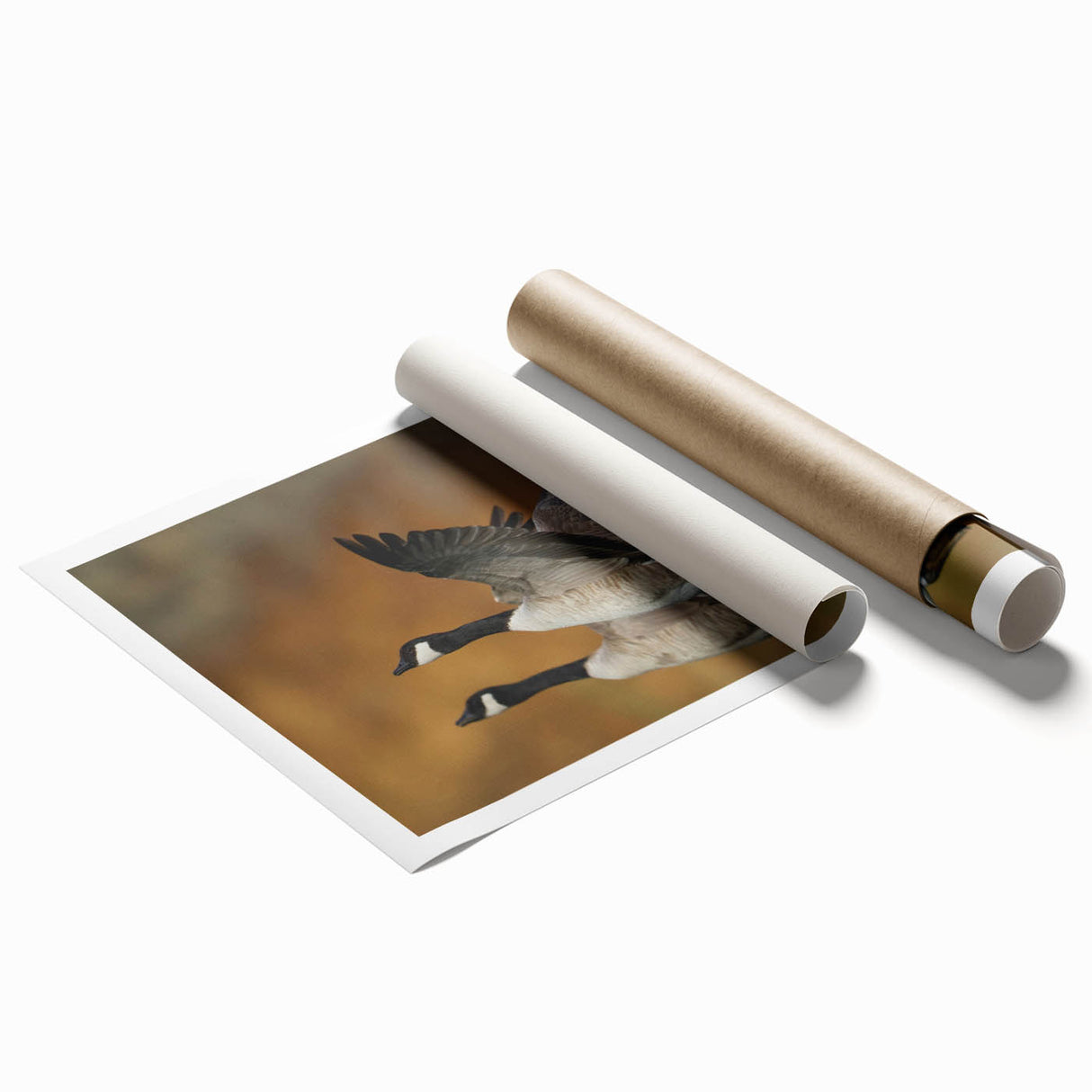 Rolled print showcasing a vibrant goose design in a colorful, artistic style, perfect for home decor. The artwork features intricate details and a modern aesthetic, making it an eye-catching addition to any room.