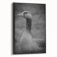 Framed canvas wall art featuring a stylish goose design with a black frame, showcasing elegant colors and intricate details, perfect for modern decor.