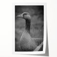 Beautifully designed rolled print showcasing a serene scene of geese in a natural setting, ideal for home decor. The artwork features vibrant colors and intricate details, perfect for adding a touch of nature-inspired elegance to any space.