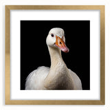 Elegant wall art featuring a gold-framed design of stylized geese, showcasing intricate details and vibrant colors, ideal for home decor or office space enhancement.