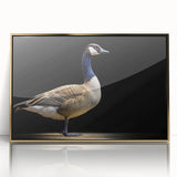 Framed wall art featuring a striking goose design on a gold-accented acrylic surface, ideal for enhancing modern home decor with elegance and charm.