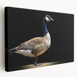 Stretched canvas wall art featuring a serene goose design, showcasing soft colors and intricate details, perfect for adding a calming touch to any home decor.