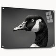 Elegant wall art collection showcasing a side view of three acrylic glass panels featuring a stylized goose design, mounted with decorative pins, ideal for modern home decor.