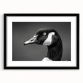 Framed wall art featuring a stylish goose design in a black frame, showcasing intricate details and modern aesthetics, perfect for home decor enhancement.