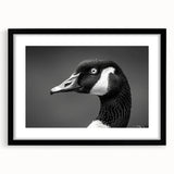Framed wall art featuring a stylish goose design in a black frame, showcasing intricate details and modern aesthetics, perfect for home decor enhancement.