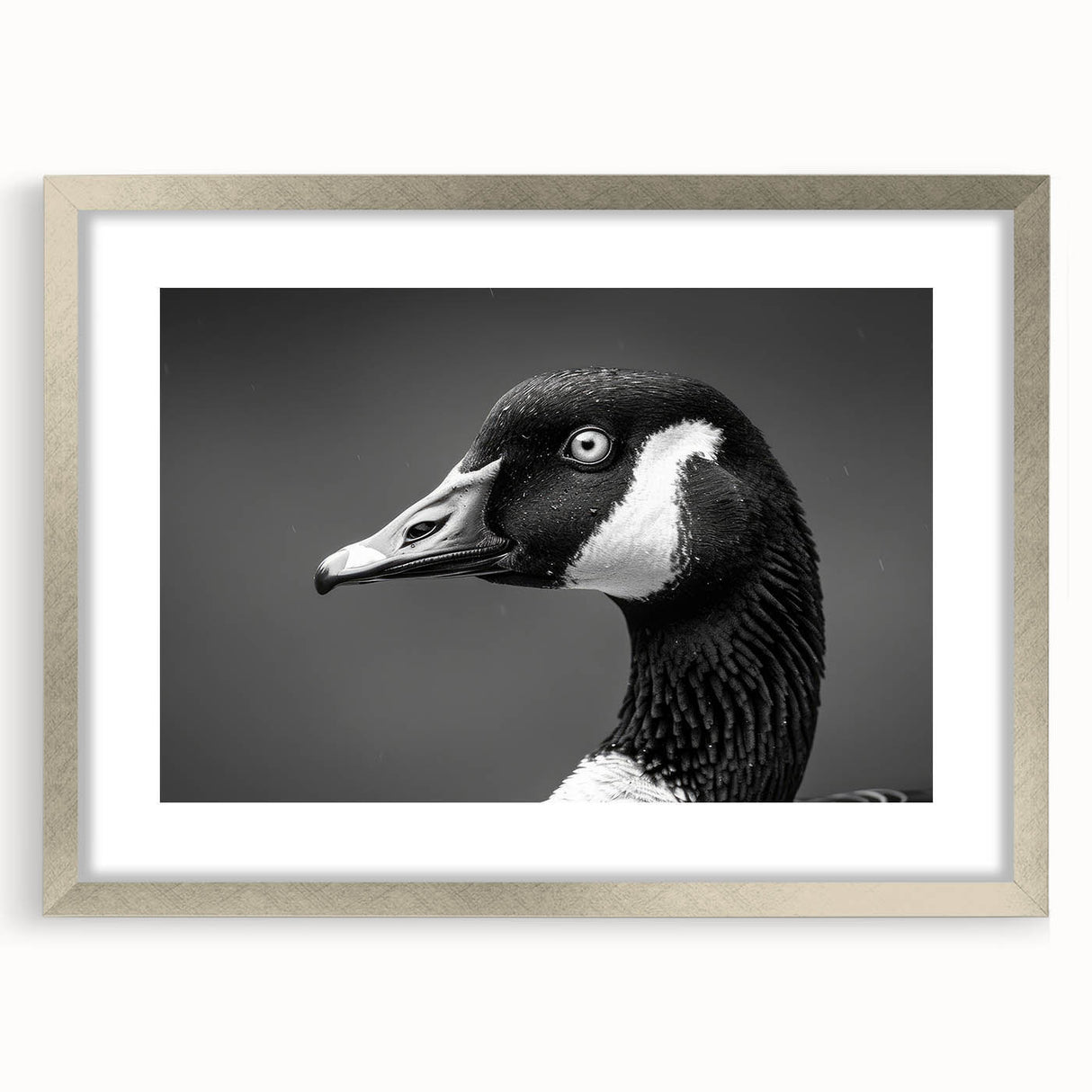 Framed wall art collection featuring a sleek silver frame and mat, showcasing a serene goose design in a contemporary style, perfect for modern decor.