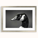 Framed wall art collection featuring a sleek silver frame and mat, showcasing a serene goose design in a contemporary style, perfect for modern decor.
