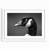 Framed wall art featuring a minimalist goose design in a white mat, showcasing a contemporary aesthetic that enhances modern home decor. Ideal for bird lovers and art enthusiasts.