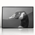 Framed wall art featuring a stylized goose design, showcased in a sleek black frame with acrylic glass, perfect for modern home decor.