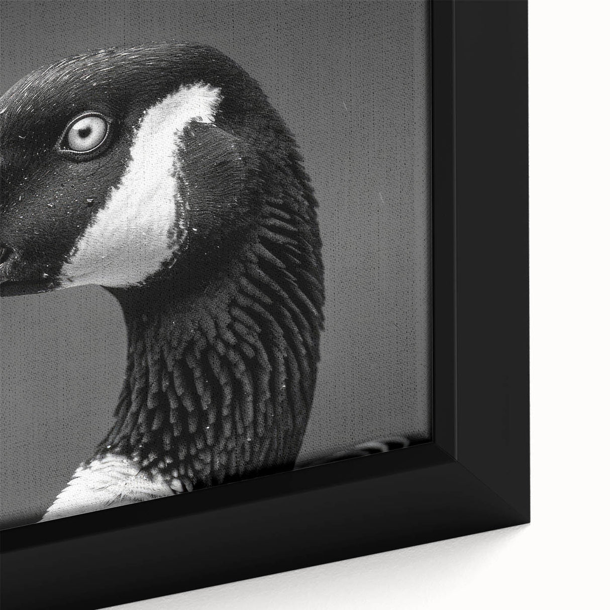 Close-up of a framed canvas wall art piece displaying a contemporary goose design, showcasing vibrant colors and intricate details, perfect for modern home decor.