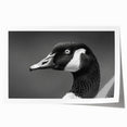 Elegant rolled print of a goose design wall art collection, showcasing intricate details and vibrant colors, perfect for enhancing home decor.