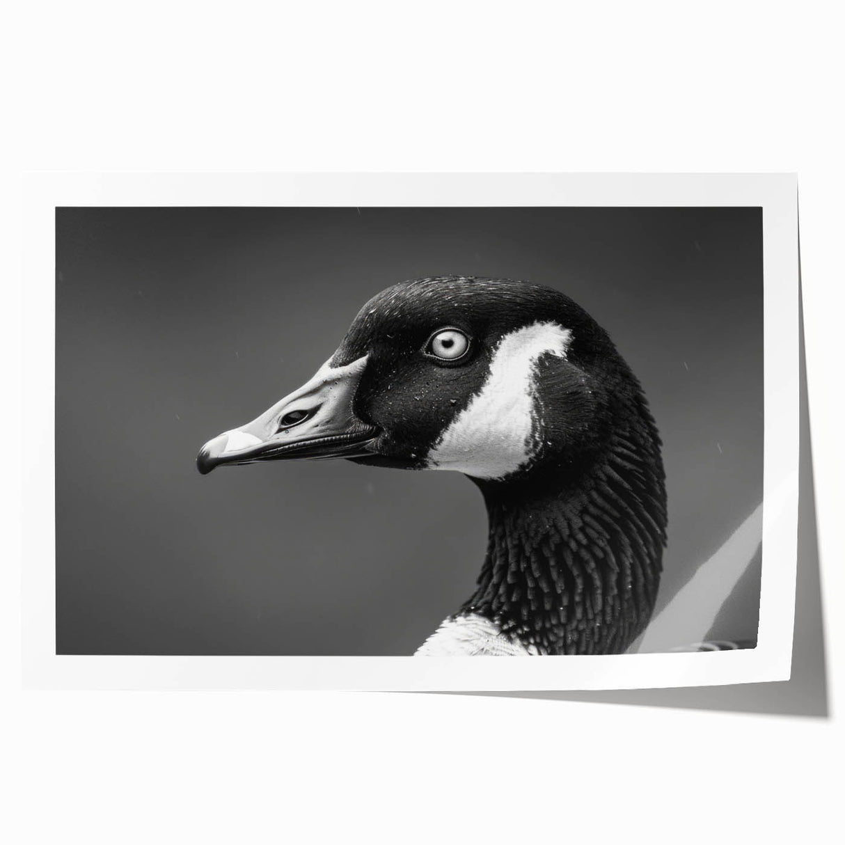 Elegant rolled print of a goose design wall art collection, showcasing intricate details and vibrant colors, perfect for enhancing home decor.