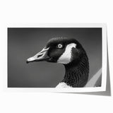 Elegant rolled print of a goose design wall art collection, showcasing intricate details and vibrant colors, perfect for enhancing home decor.