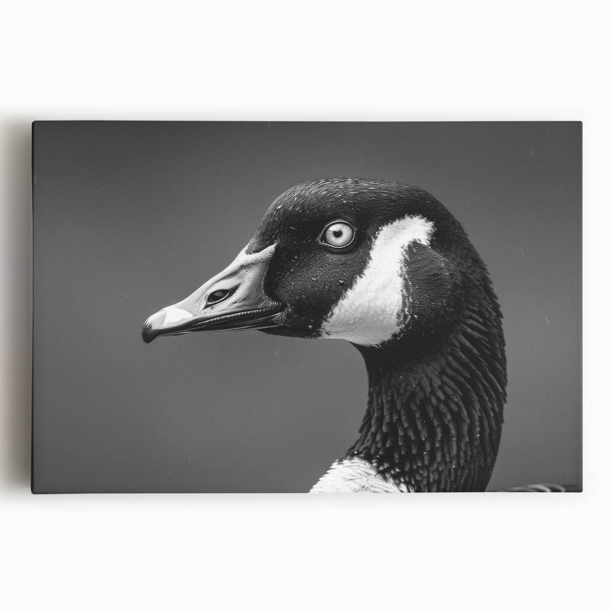 Stretched canvas wall art showcasing a serene landscape with geese in flight, featuring vibrant colors and intricate details, perfect for modern home decor.
