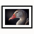 Framed wall art collection showcasing a detailed goose design with a black mat, ideal for home decor, emphasizing modern aesthetics and wildlife themes.