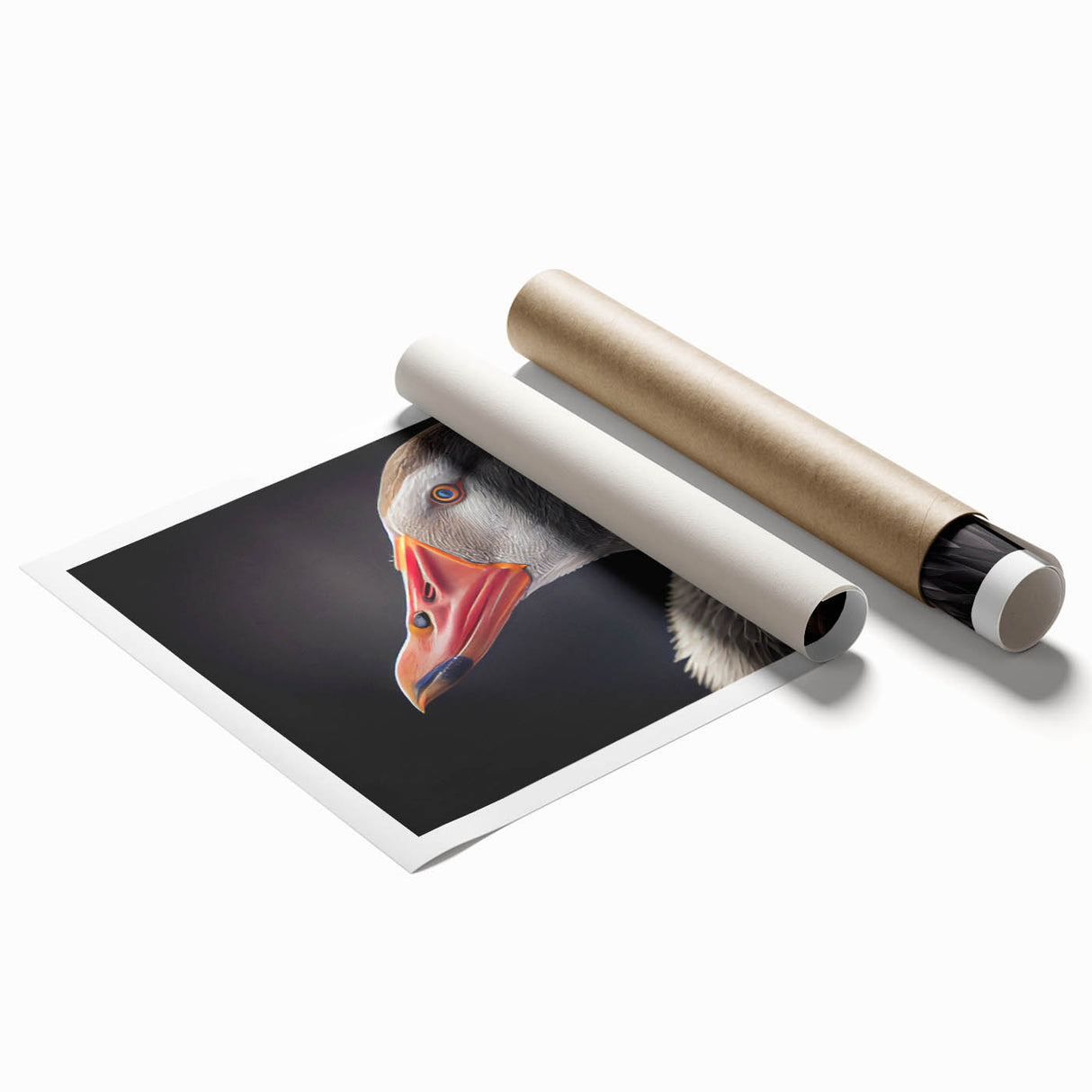 Rolled print of a whimsical bird and goose design, showcasing vibrant colors and intricate details, perfect for home decor or artistic display. Packaged securely for safe shipping.