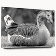 Side view of a contemporary wall art collection featuring a goose design, displayed on acrylic glass, secured with stylish pins, ideal for modern home decor.