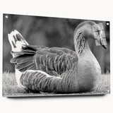 Side view of a contemporary wall art collection featuring a goose design, displayed on acrylic glass, secured with stylish pins, ideal for modern home decor.