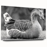 Side view of a sleek acrylic glass wall art collection featuring a vibrant goose design, perfect for modern decor. Ideal for enhancing living spaces with color and style.
