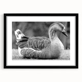 Black-framed wall art collection featuring a stylized goose design, elegantly matted, perfect for modern home decor, showcasing a minimalist aesthetic.