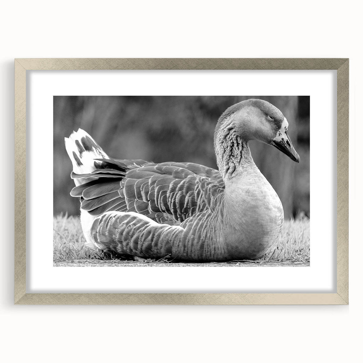 Framed wall art featuring a serene design of geese in flight, showcasing intricate details and a silver mat finish, perfect for enhancing home decor.