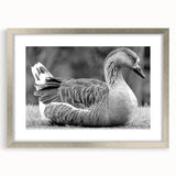 Framed wall art featuring a serene design of geese in flight, showcasing intricate details and a silver mat finish, perfect for enhancing home decor.