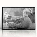 Framed wall art collection featuring a stylish black front view of a goose design, perfect for modern home decor. Ideal for enhancing living spaces with nature-inspired aesthetics.