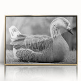 Framed wall art collection featuring elegant gold-accented goose designs, showcasing intricate details and vibrant colors, perfect for enhancing modern home decor.