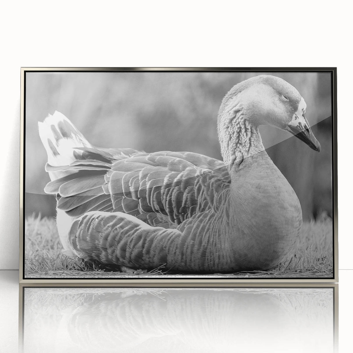 Framed wall art featuring a sleek silver-acrylic design showcasing a group of geese in a serene setting, perfect for modern home decor. Ideal for nature lovers.