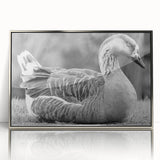 Framed wall art featuring a sleek silver-acrylic design showcasing a group of geese in a serene setting, perfect for modern home decor. Ideal for nature lovers.