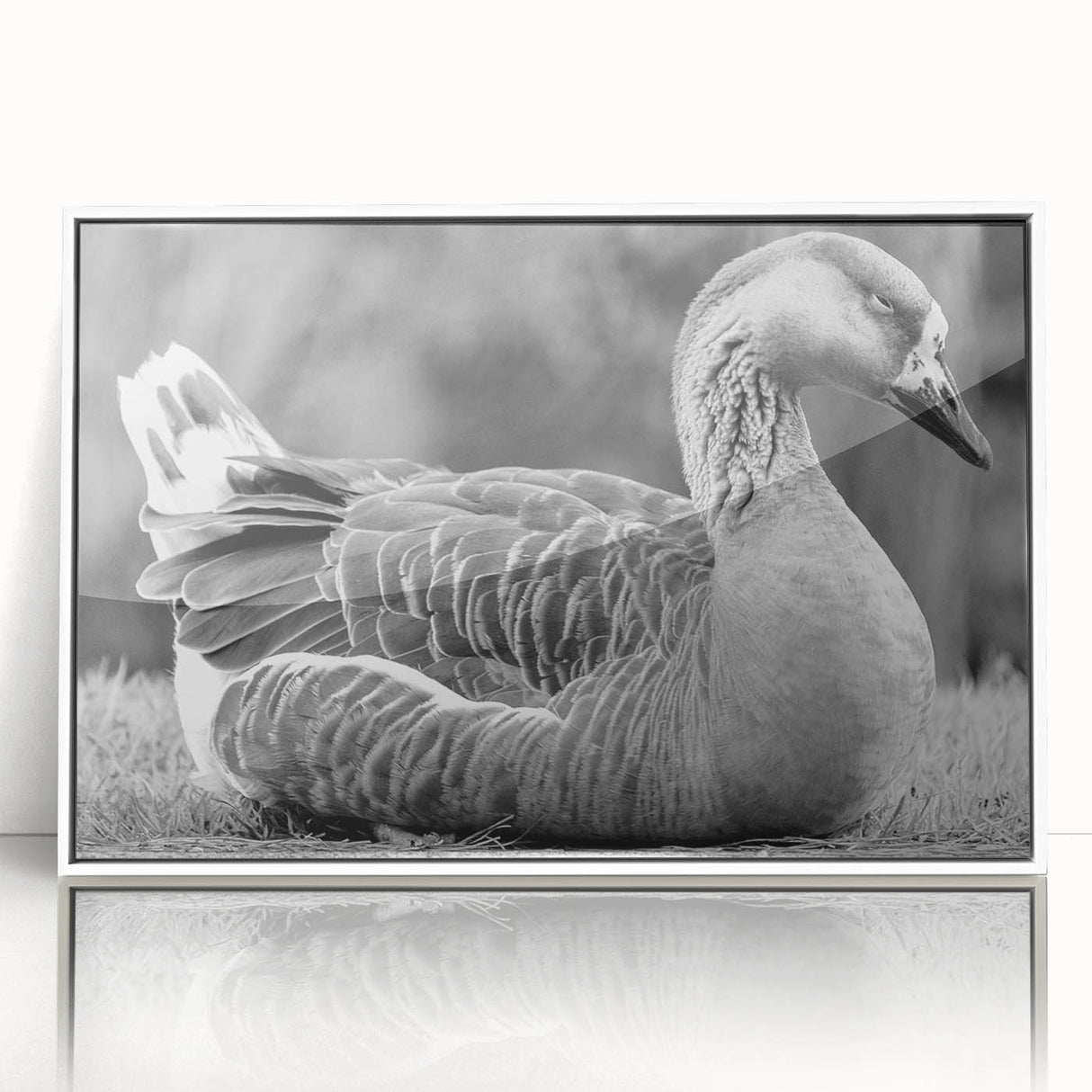 Framed wall art collection showcasing a detailed goose design on an acrylic surface, featuring a sleek white frame and modern aesthetic, perfect for home decor.