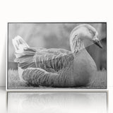 Framed wall art collection showcasing a detailed goose design on an acrylic surface, featuring a sleek white frame and modern aesthetic, perfect for home decor.