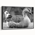 Framed wall art collection featuring a stylish design of geese in flight, set against a black background. The canvas is showcased in a side view, highlighting its elegant frame and modern aesthetic. Perfect for enhancing home décor with a touch of nature-inspired artistry.