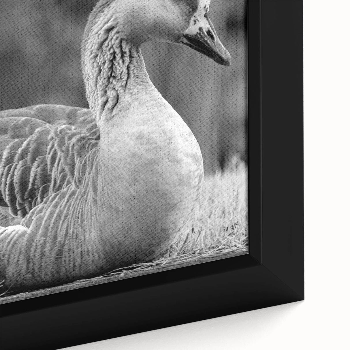Close-up of a framed canvas wall art piece showcasing a beautifully detailed goose design, featuring vibrant colors and intricate patterns, perfect for enhancing home decor.