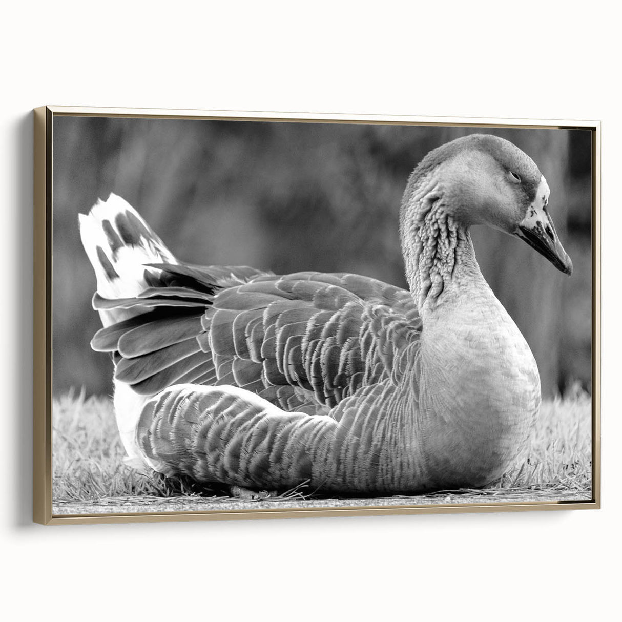 Framed canvas wall art featuring a stylish goose design in gold hues, showcasing a modern aesthetic suitable for home decor. The artwork is elegantly displayed from a side view, highlighting its intricate details and premium framing.