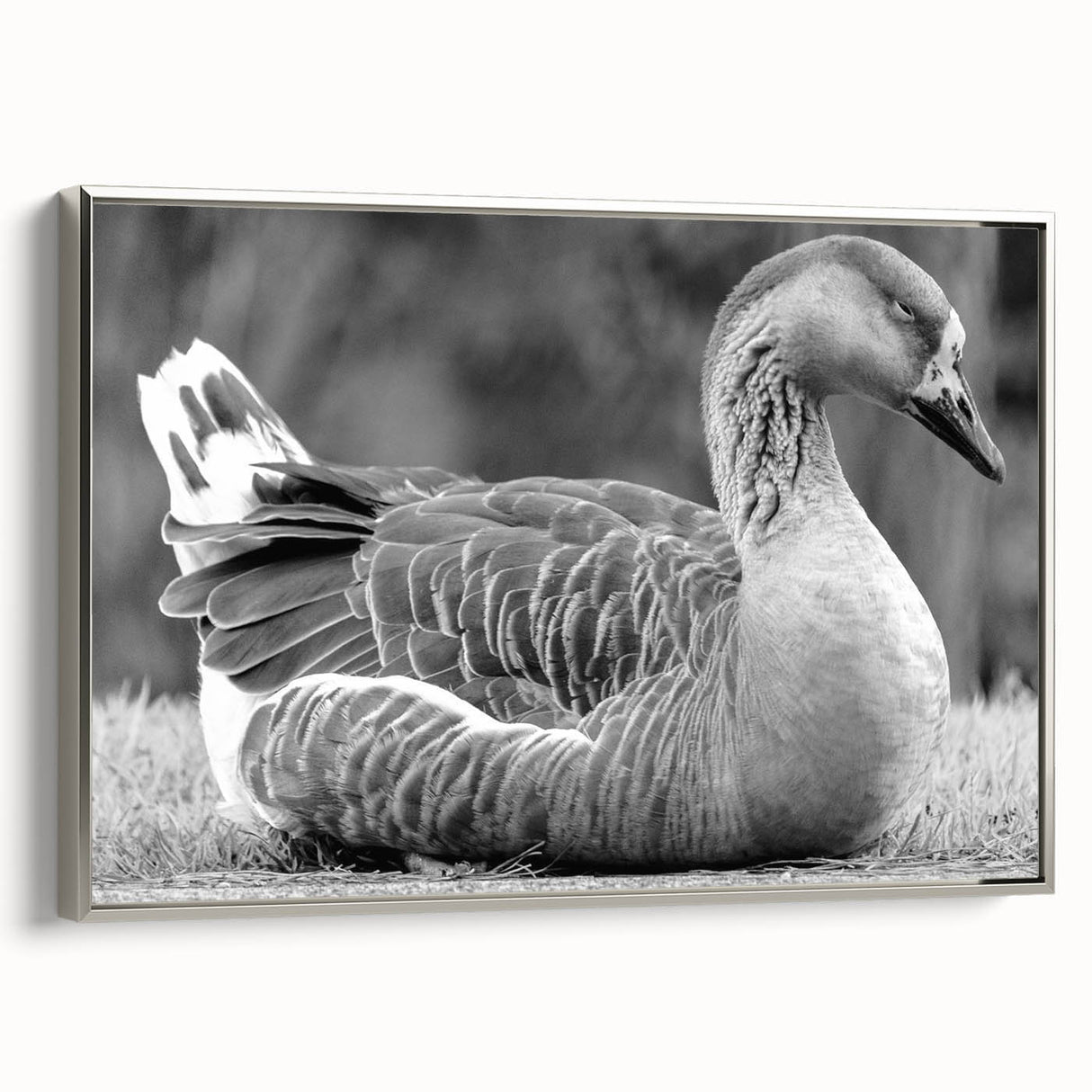 Framed canvas wall art featuring a serene design of geese in a natural setting, highlighted with a silver frame, perfect for enhancing home decor.